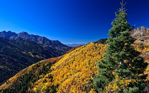 812407 (a): :2560x1600